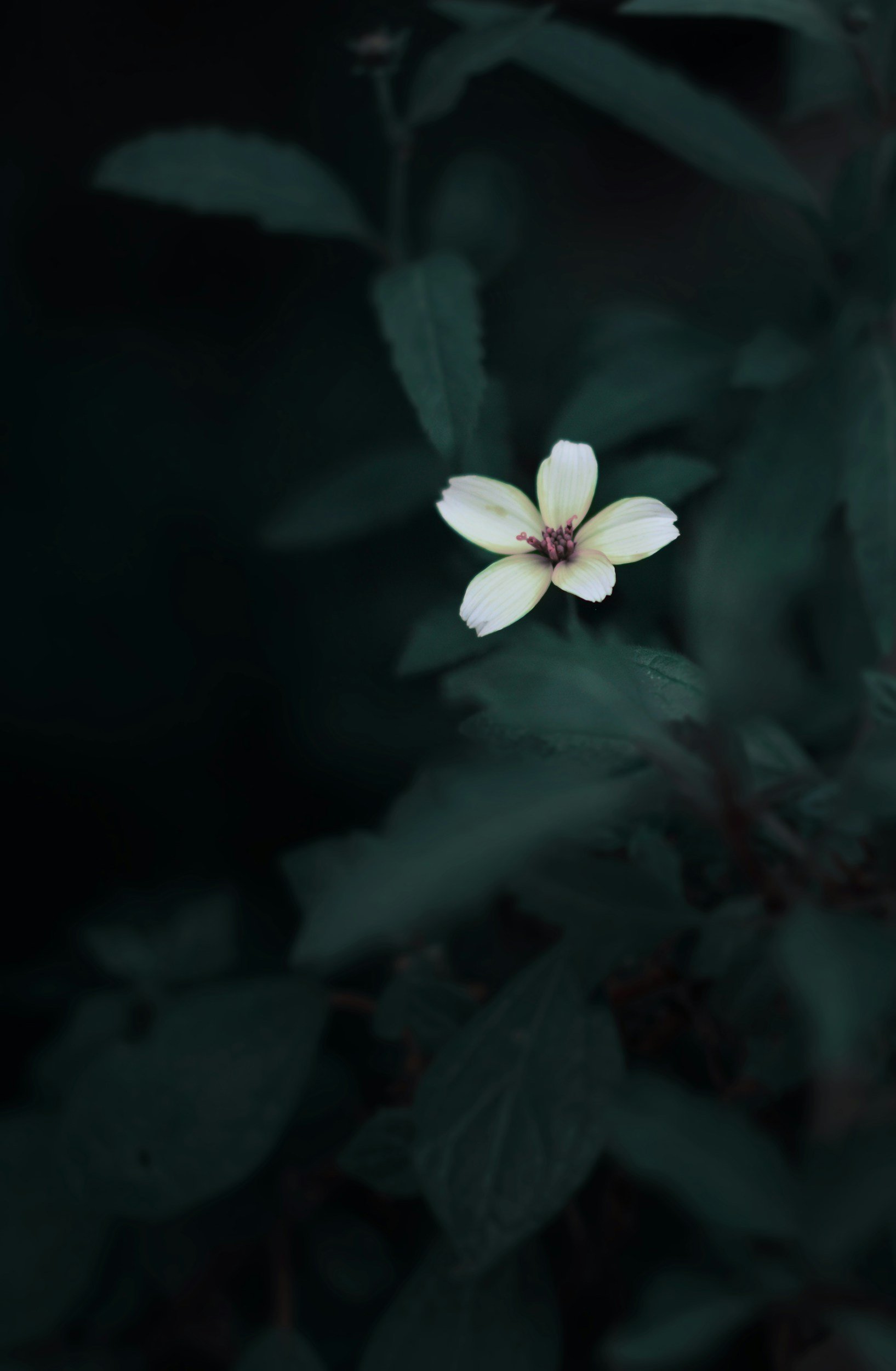 unsplash-image-QTc6ifb-ziU.jpg