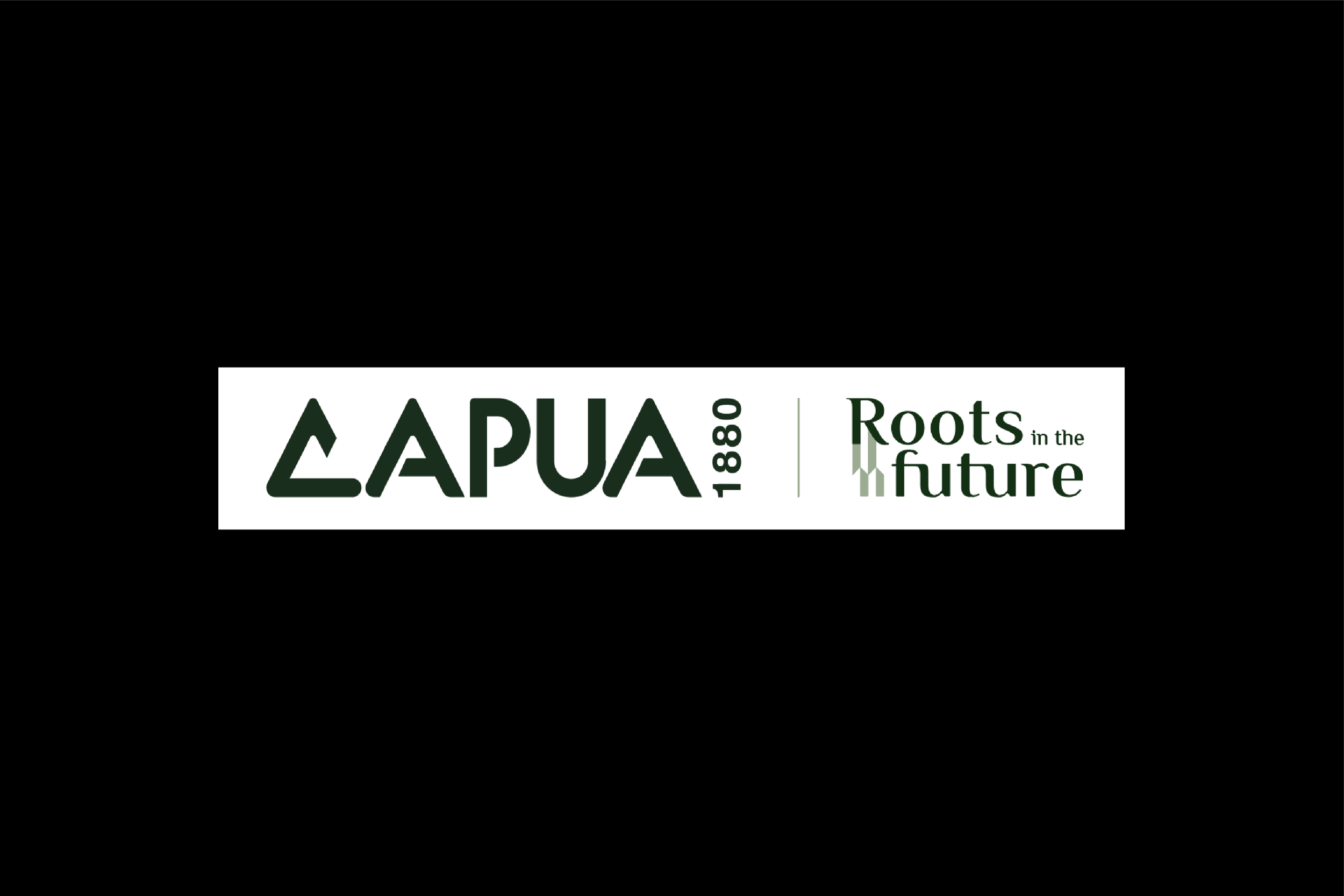 logo-capua.png