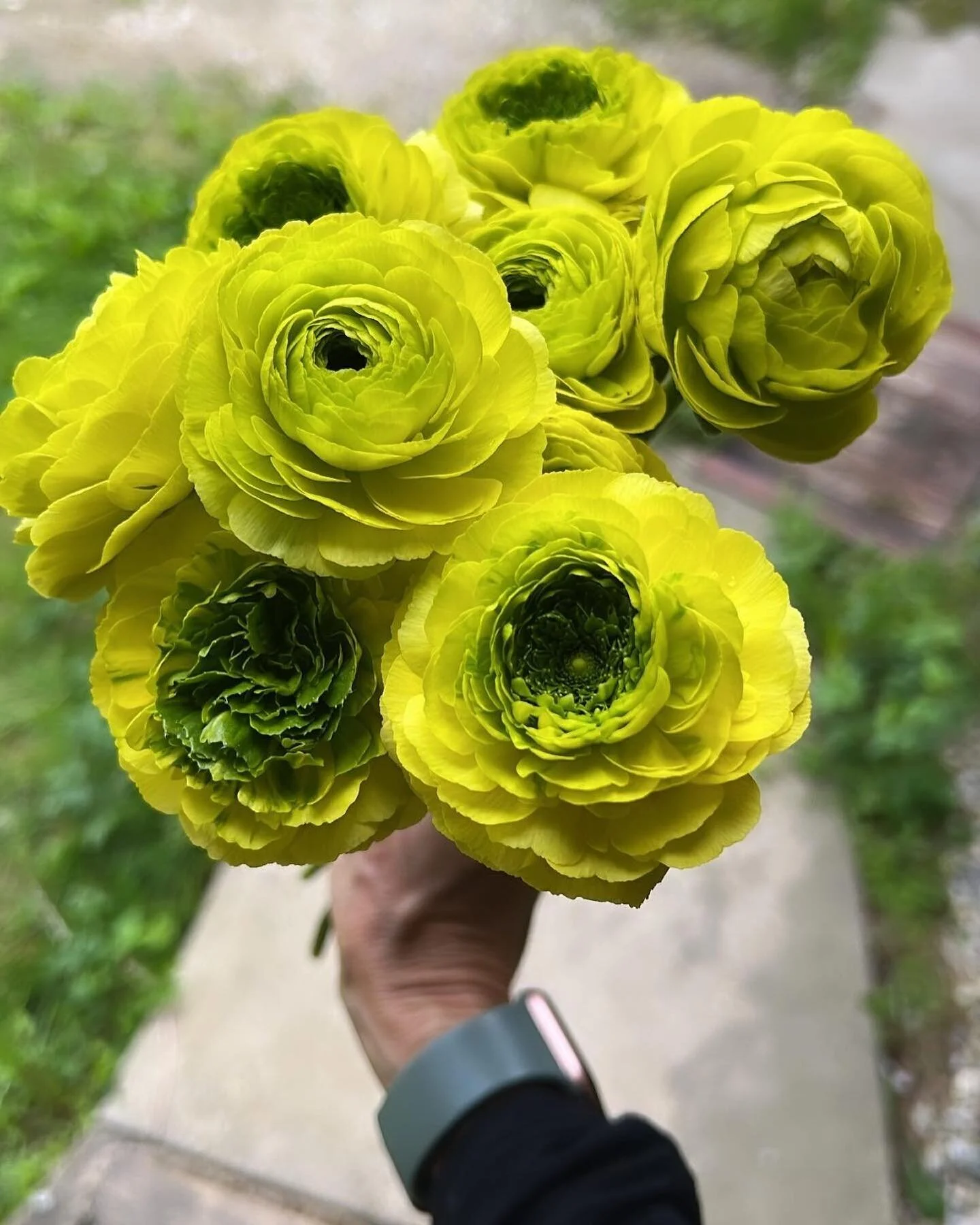 May have a new favorite!