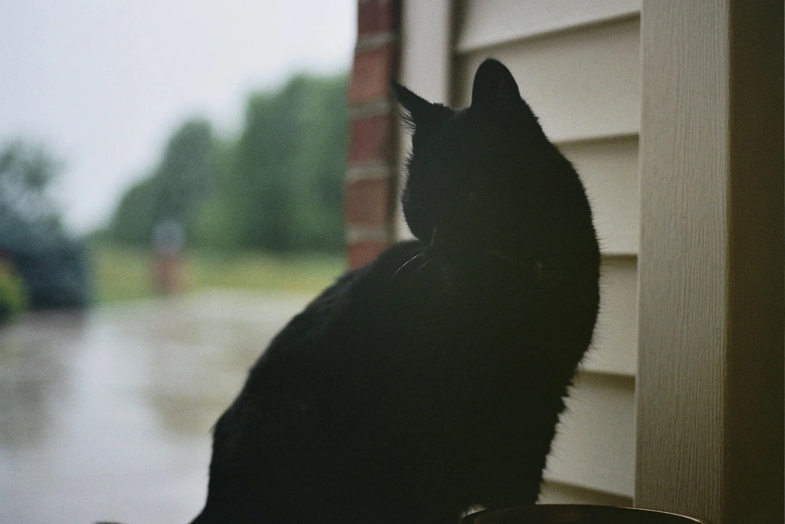 Henry - 2