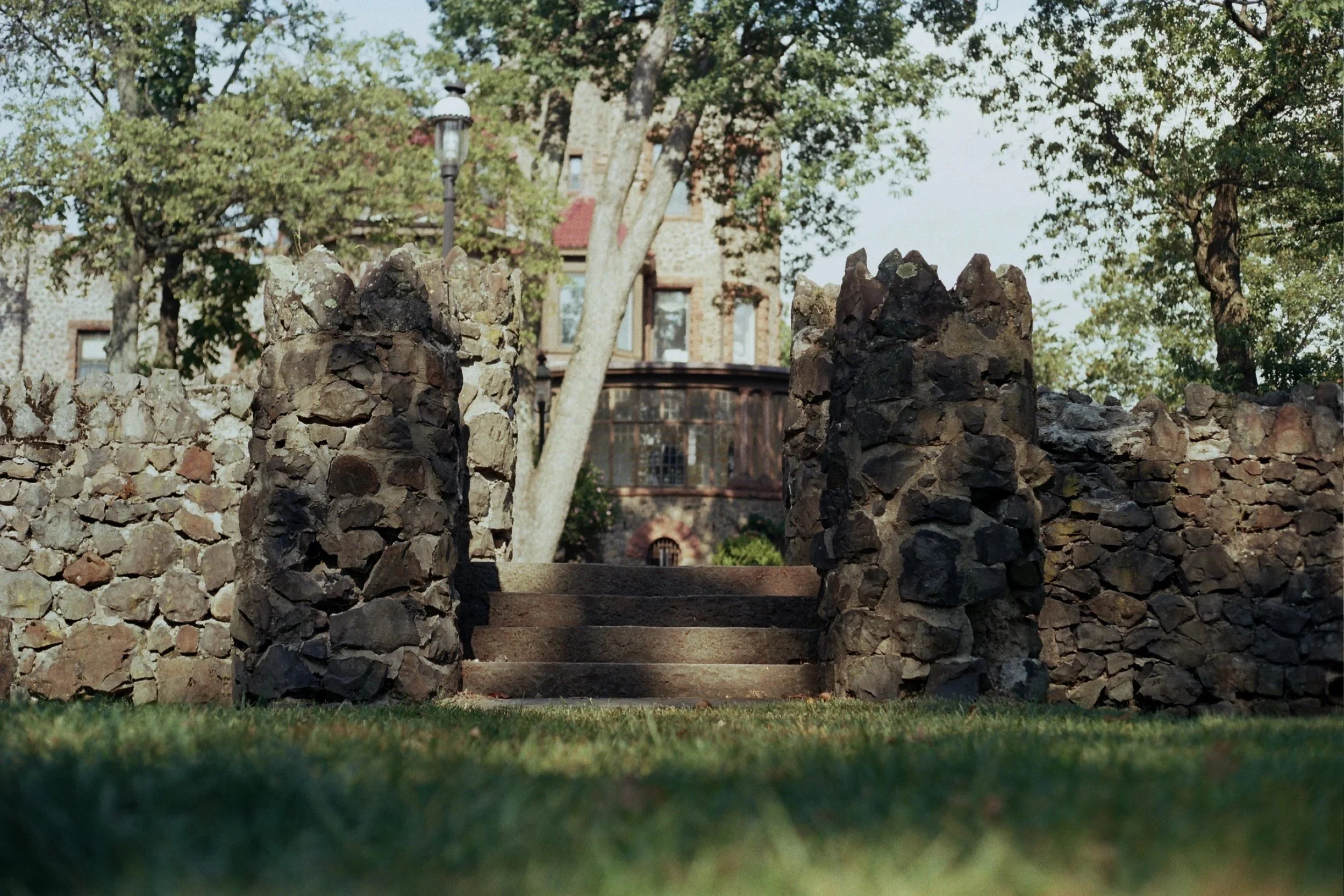 IMG_1784.jpg