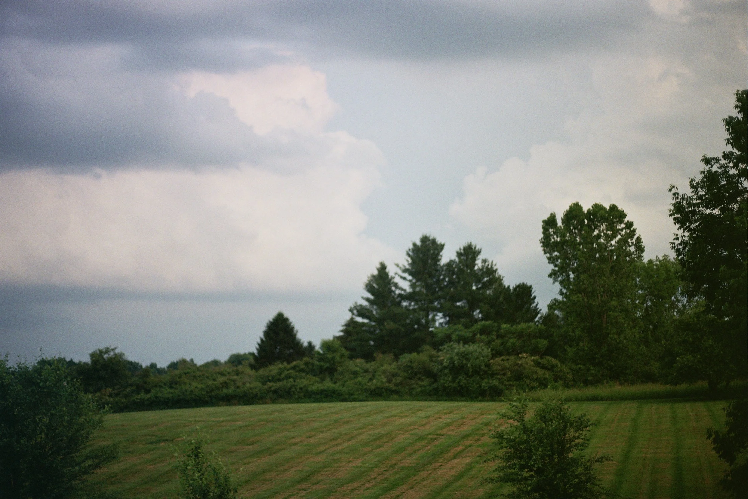 Field