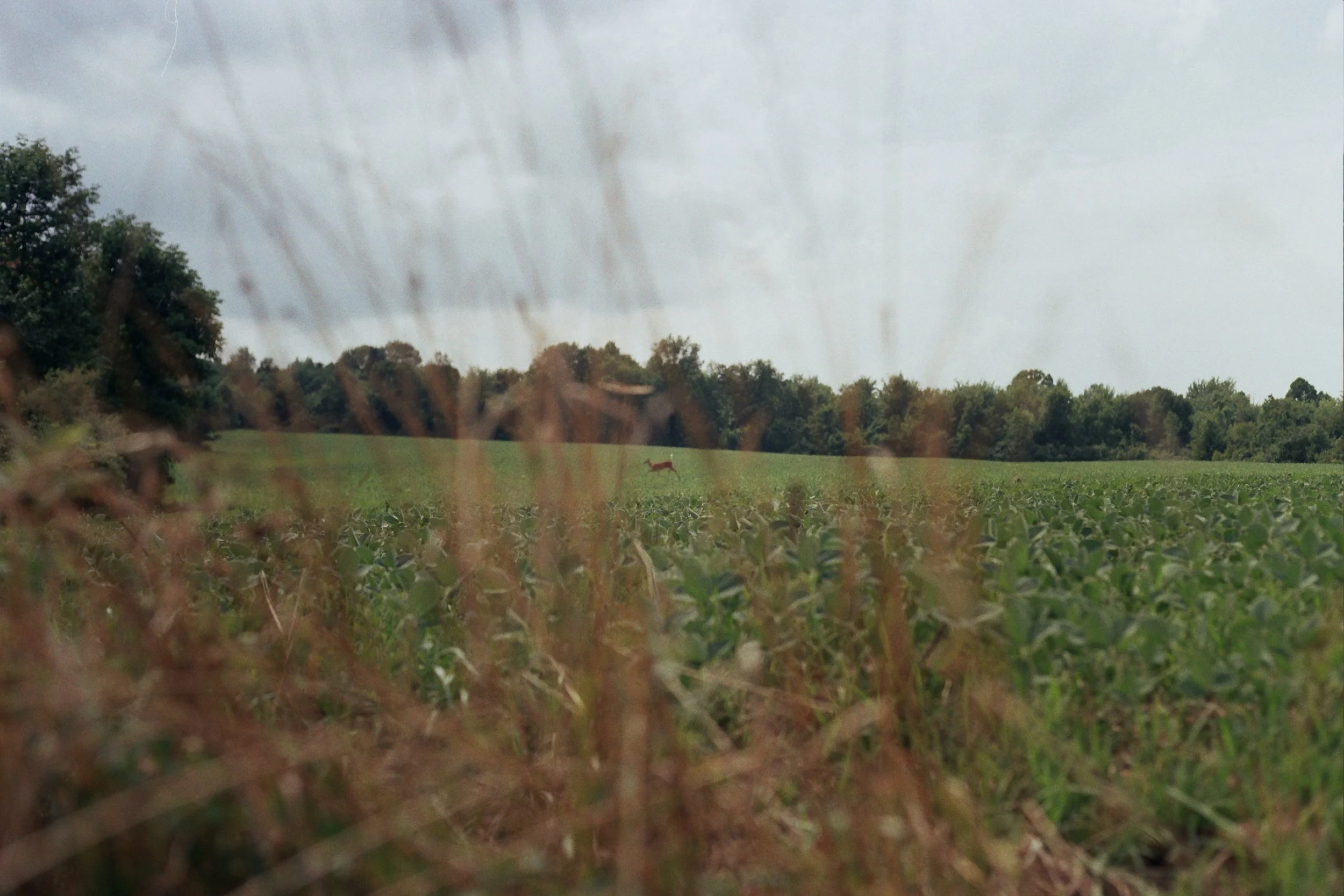 IMG_1761.jpeg