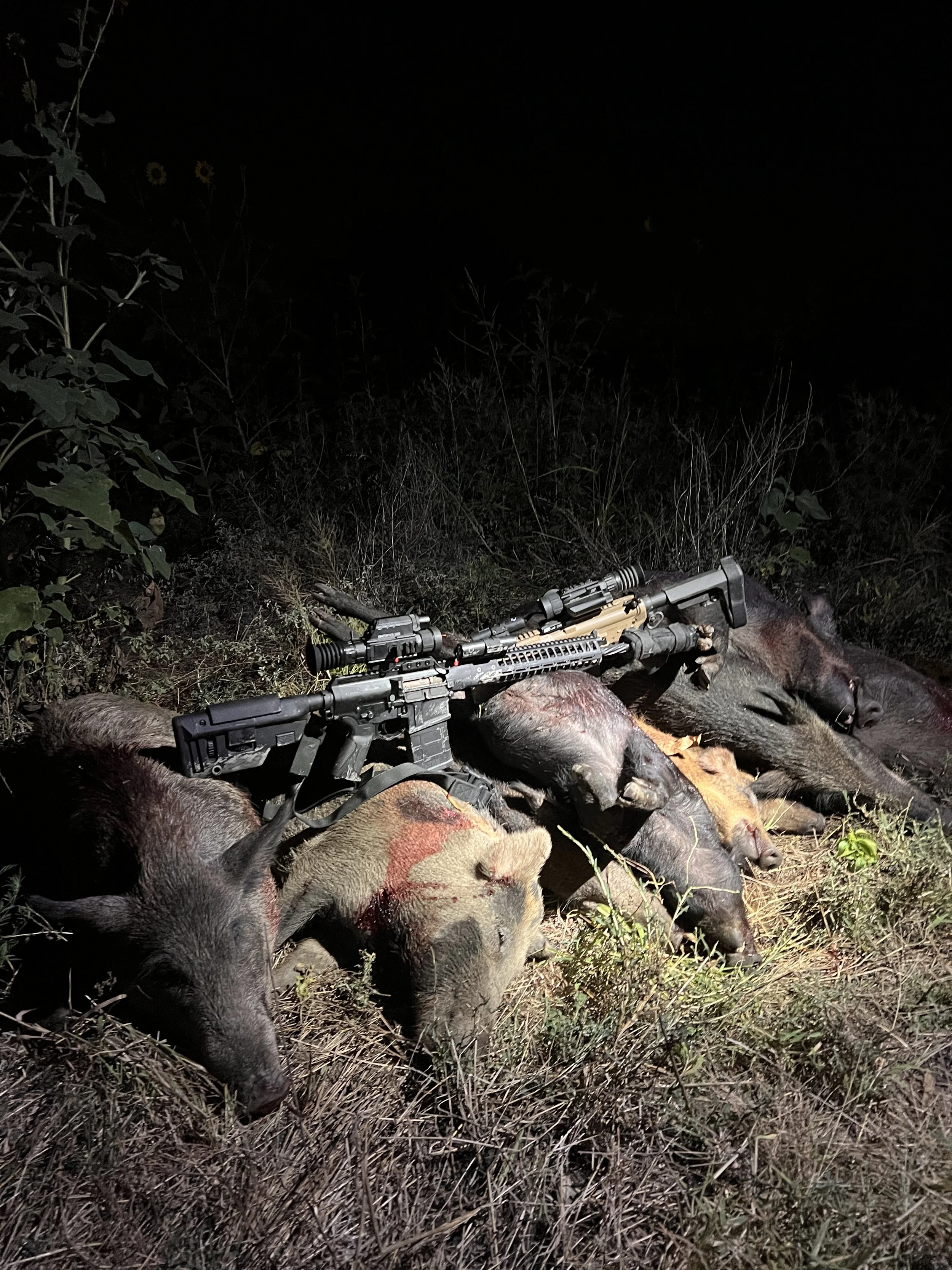 The image shows a dark outdoor scene at night with a pile of dead animals, including pigs and possibly other animals, on the ground. A rifle is resting on top of the animals.
