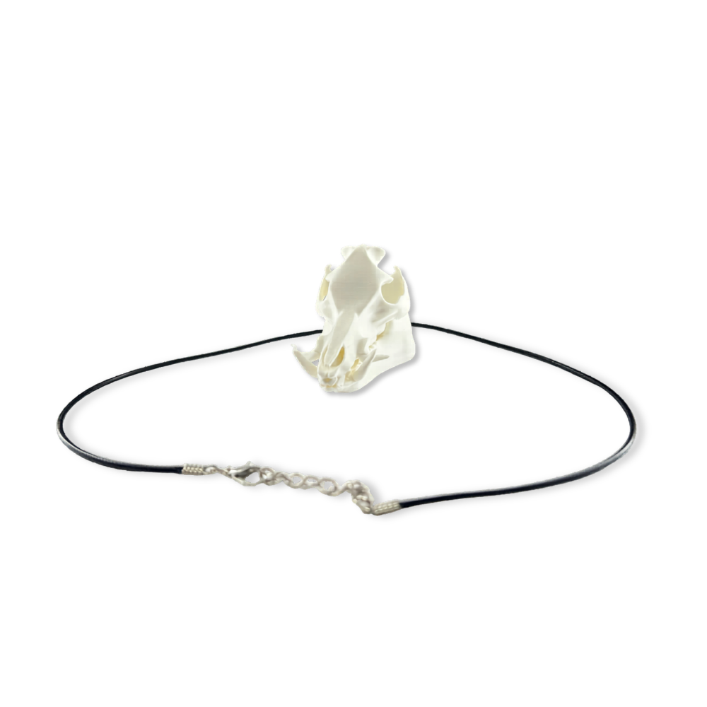 Feral Hog Skull Mirror Hanger