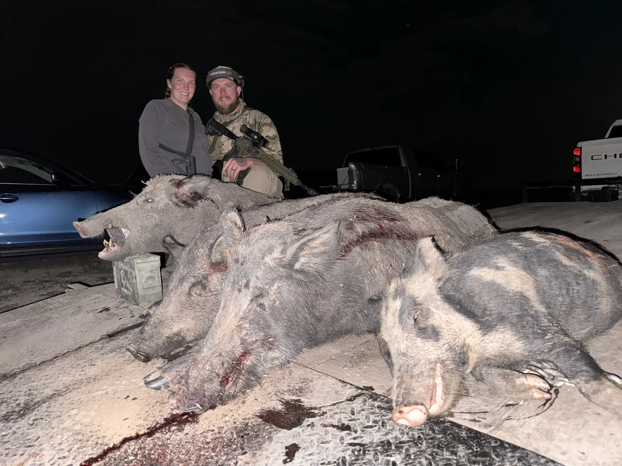 Two hunters posing with a large pile of harvested wild pigs at night, with trucks in the background.