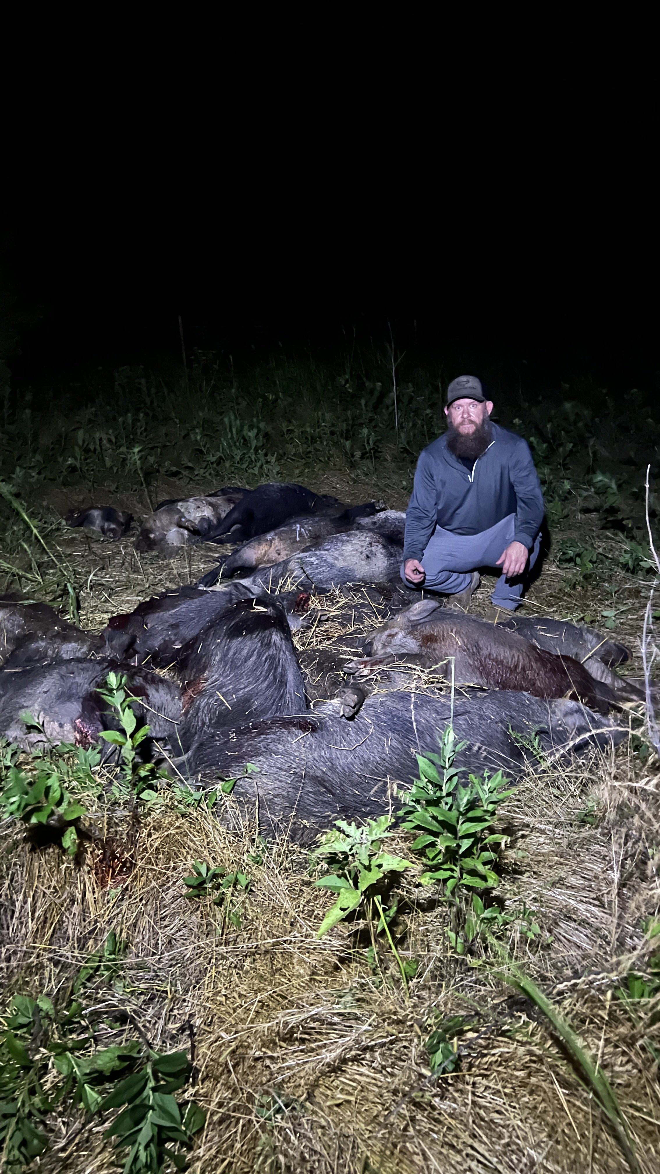 A man with a beard and dark clothing crouches beside a large group of dead wild pigs lying on the ground in a grassy area at night.