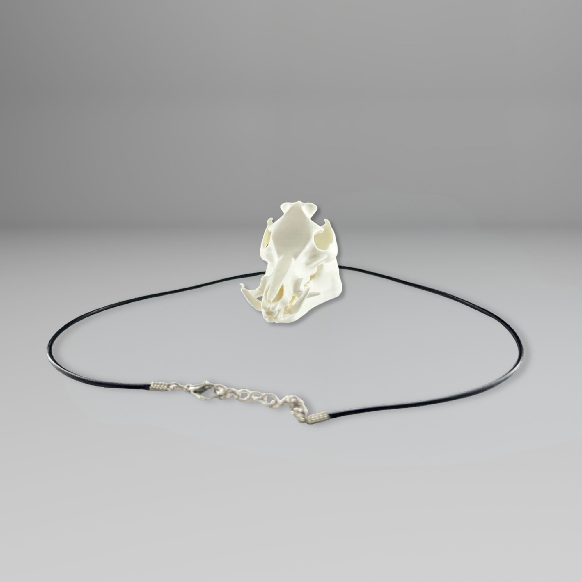 Feral Hog Skull Mirror Hanger