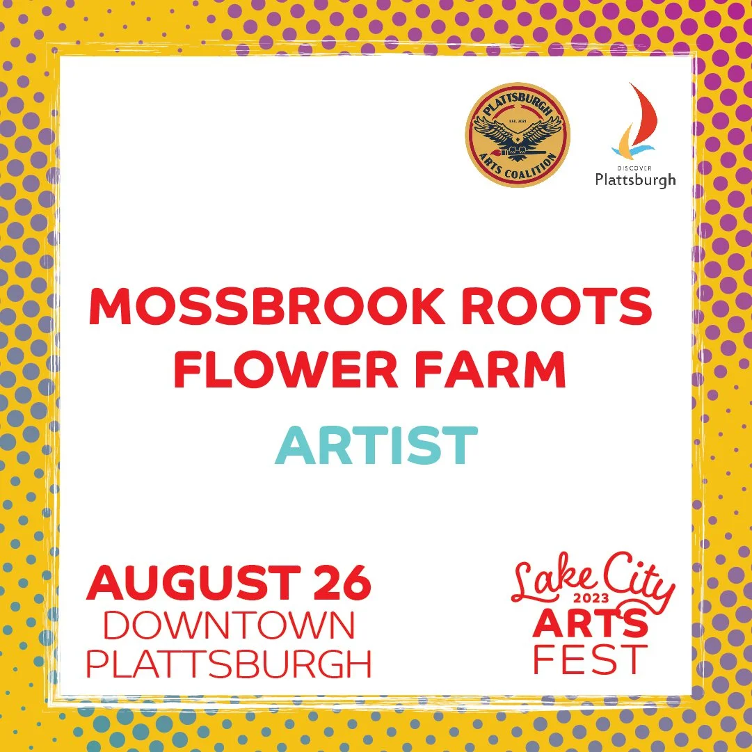 Art — Lake City Arts Fest