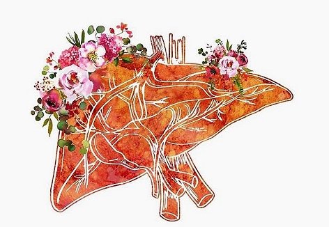 Love Your Liver! (+ other Pitta Organs.)