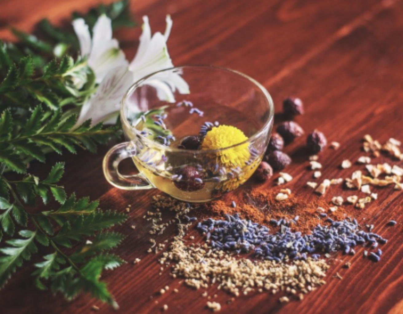Glass cup with herbs and flowers on wooden table, surrounded by fern leaves and dried seeds