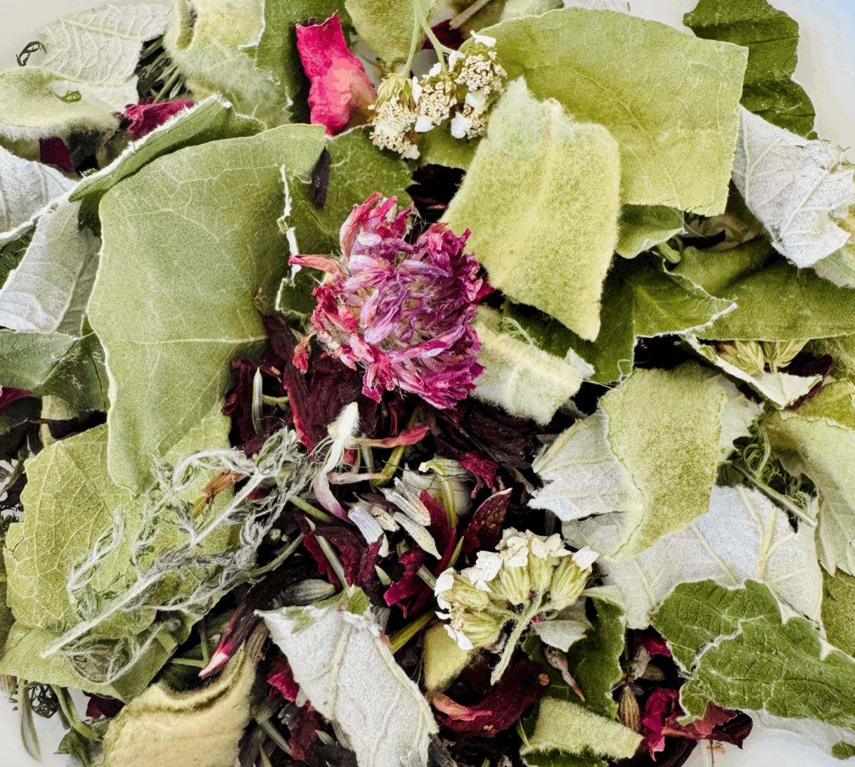 Screenshot 2026-04-29 at 1.01.41 PM.png