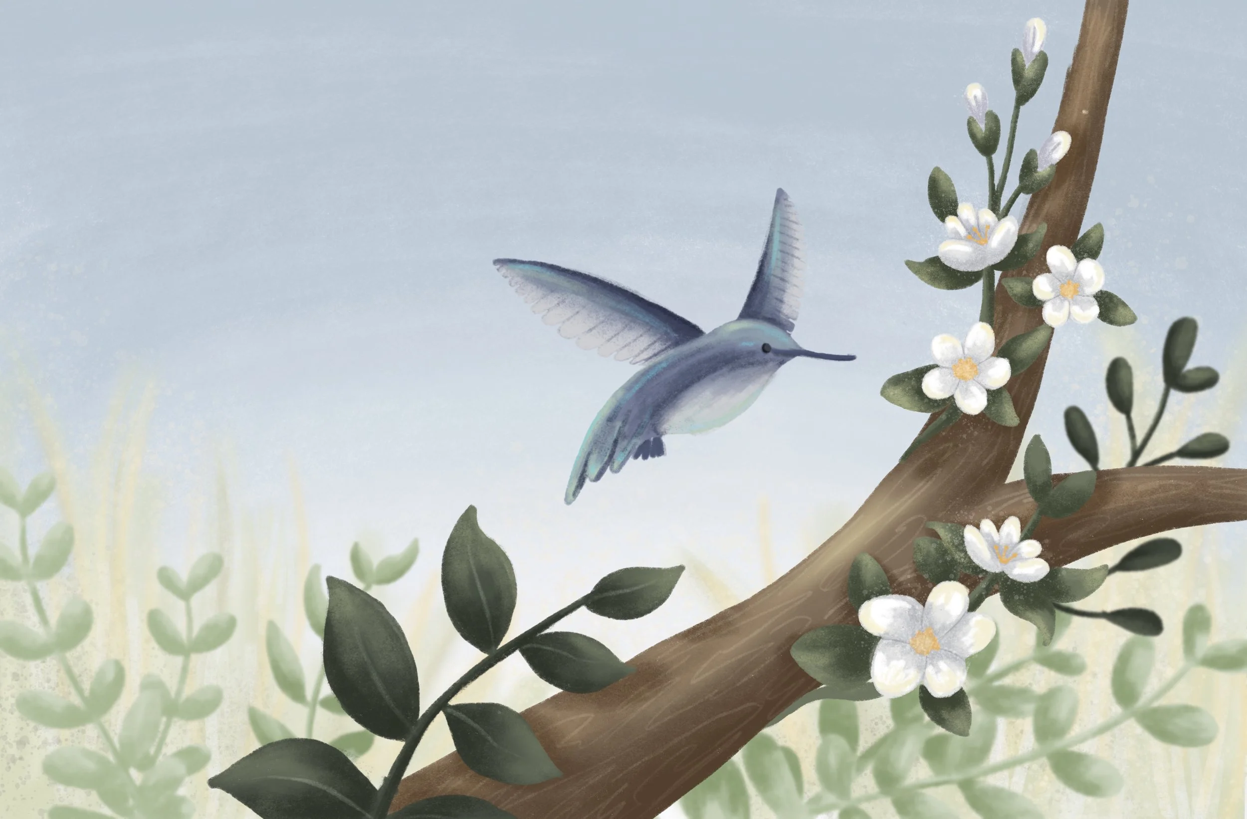 OL_202410_ILLU505_N01_JuliaZiffer_A4_InspirationBoardIllustration copy.jpg