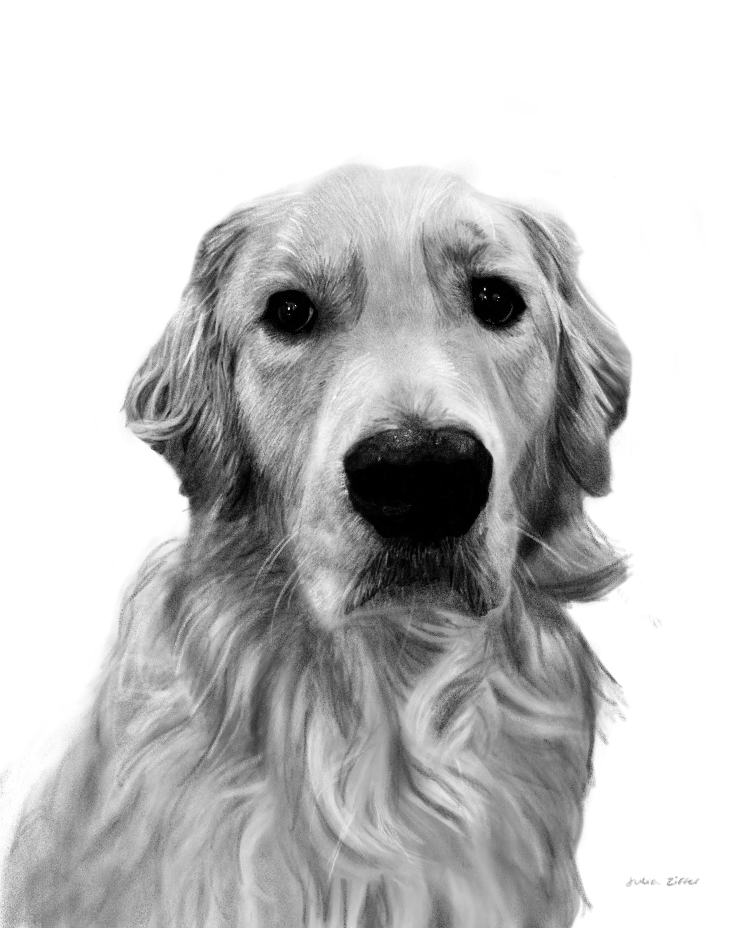 baxter_commission2022.jpg