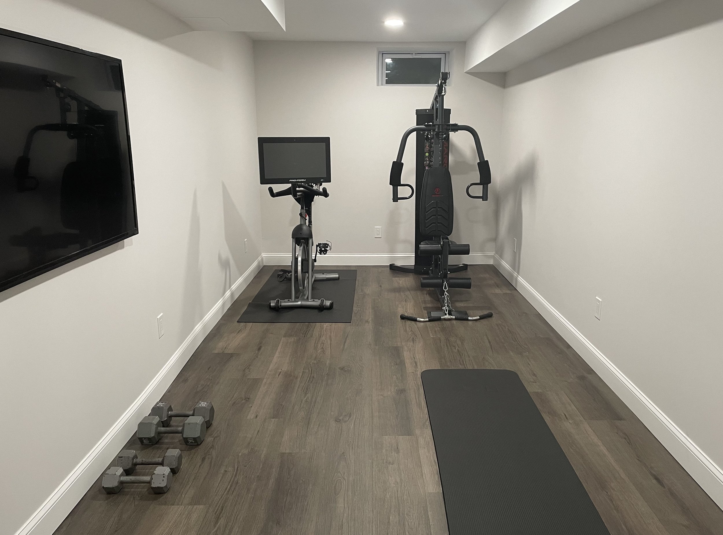 Basement Gym