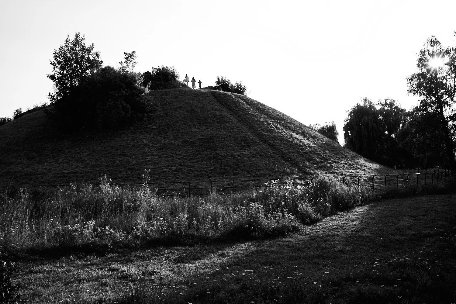 L100284896ppi.jpg