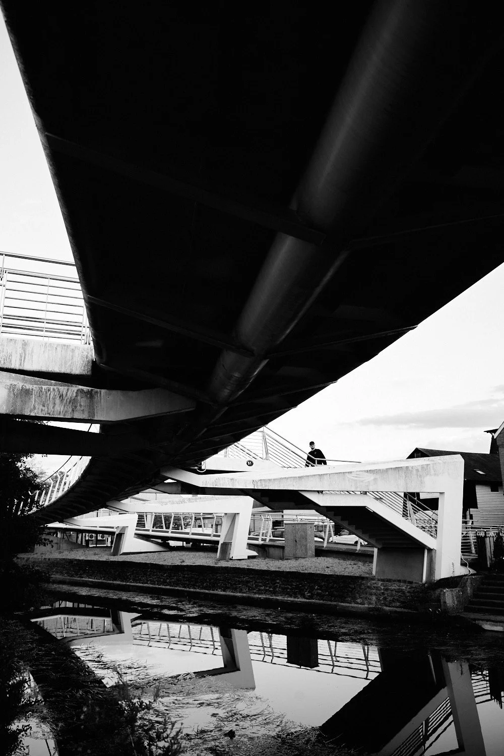 L100310096ppi.jpg