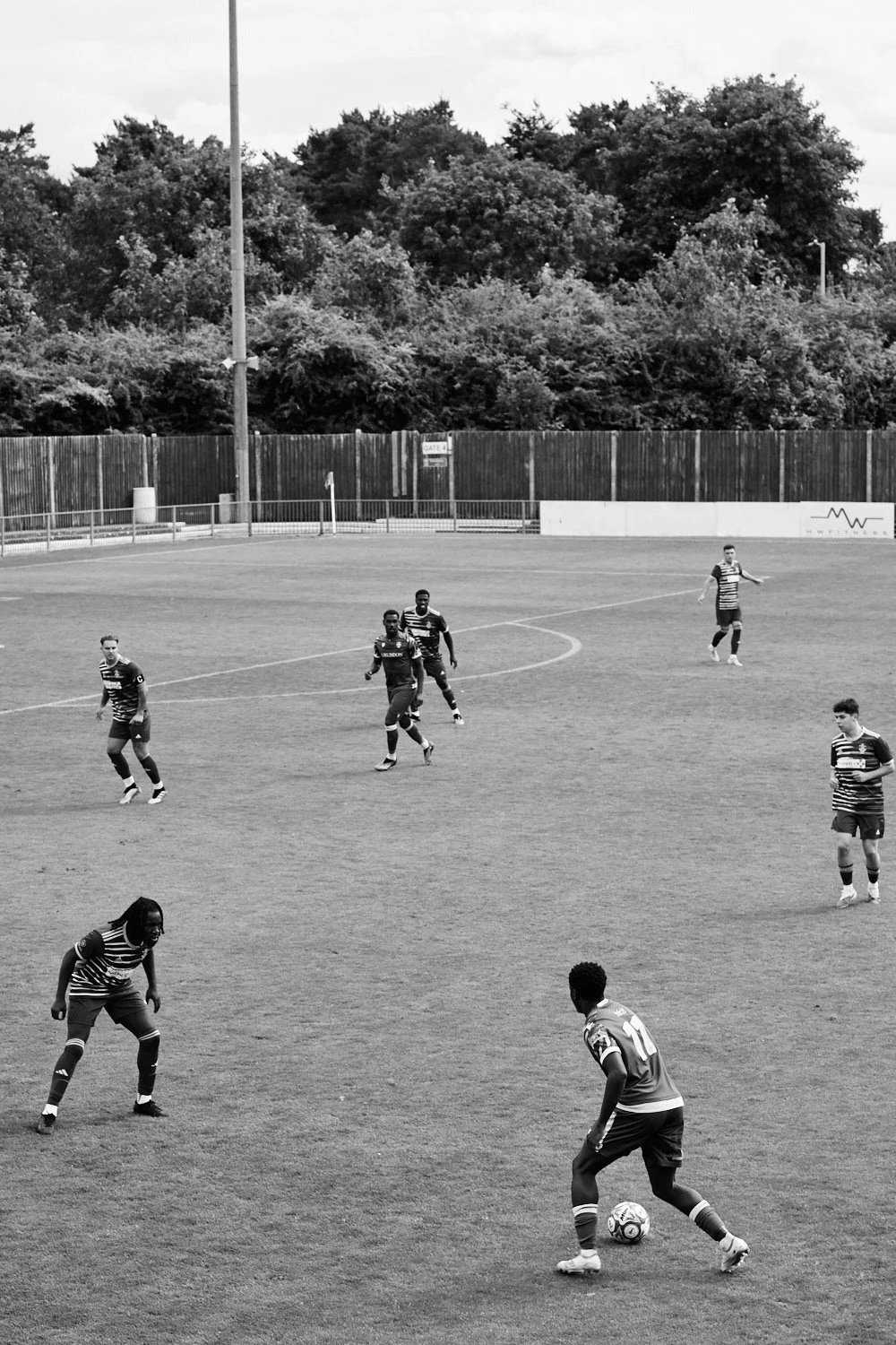 DSC0972696ppi.jpg