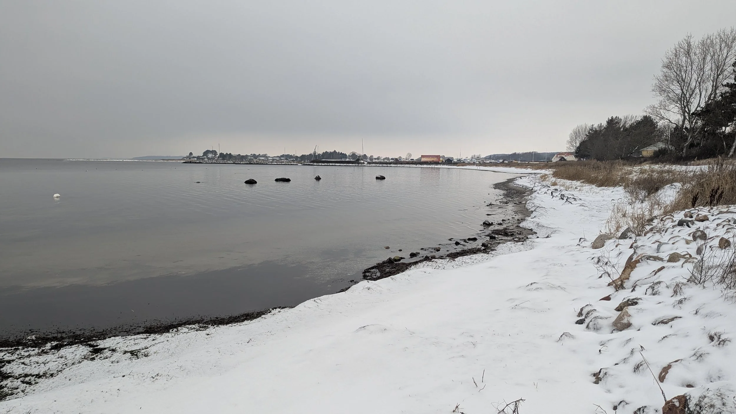 Vores Første Jul i Danmark – Holidays, House Full, and a New Year