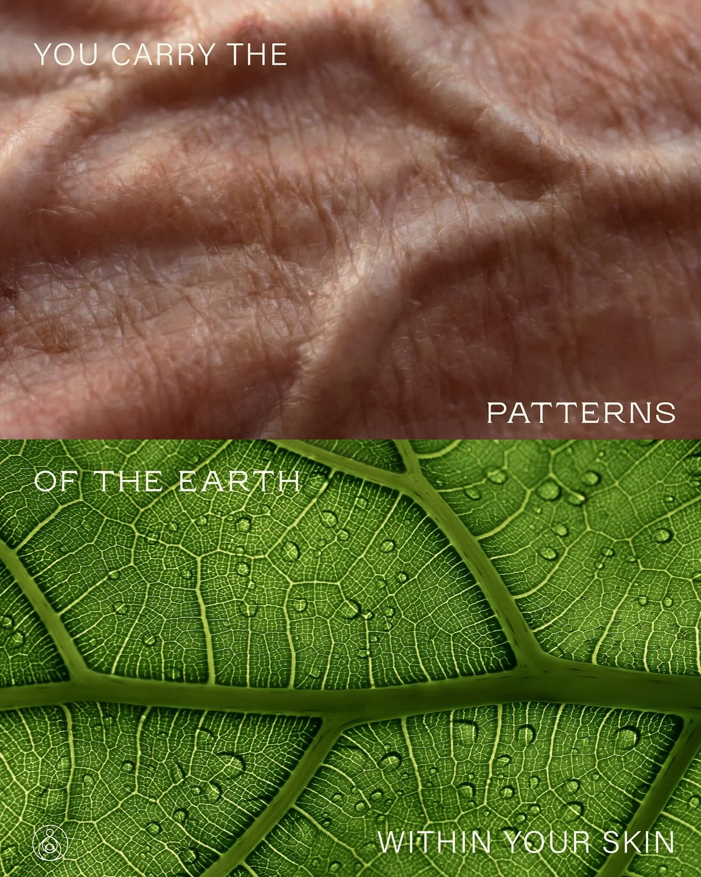 The lines that run through us &mdash;in leaves, skin, bark, or roots&mdash; are traces of the same story. A sacred language, silently woven by life itself. We are reflections of time, living memory of the Earth. Nature is not outside of us &mdash; 𝓲