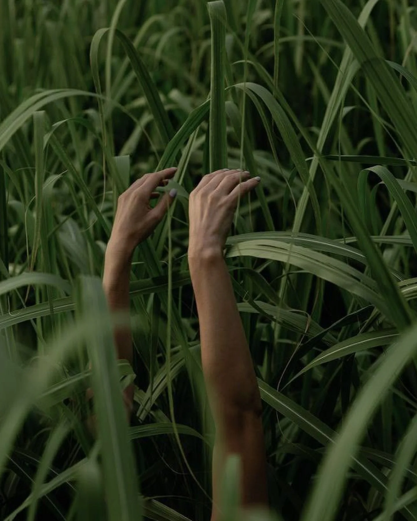 What would shift... if we stopped controlling the earth, and started listening to her?
 Eterna is not just a place - it&rsquo;s what happens when we let nature take the lead.
 A living blueprint where ecosystems thrive, and people remember how to bel