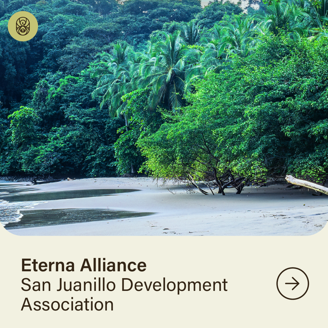 Eterna Alliance – San Juanillo Development Association