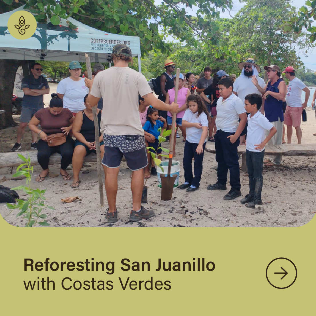 Reforesting San Juanillo with Costas Verdes