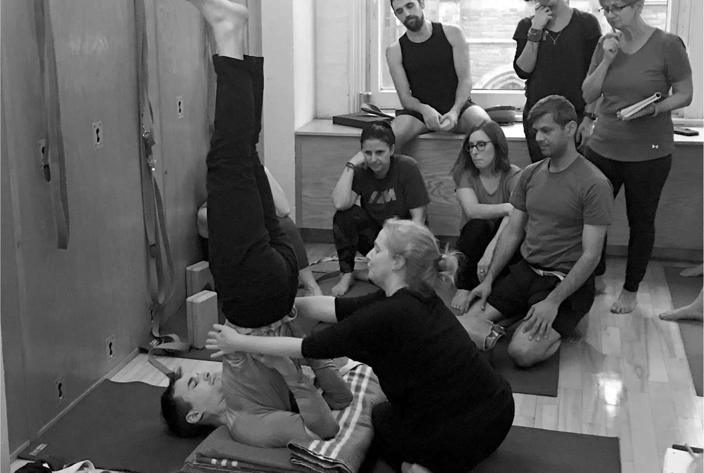 SOUTIEN DU SYSTÈME IMMUNITAIRE