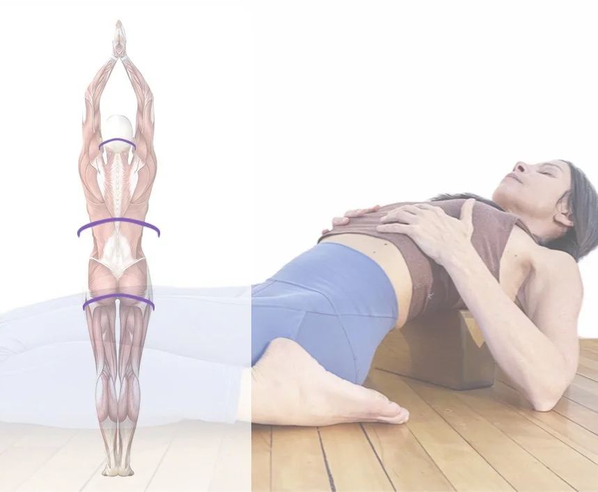 ATELIER MOUVEMENT INTERNE / NOS TROIS PRINCIPAUX DIAPHRAGMES COMME SOURCE D’ALIGNEMENT