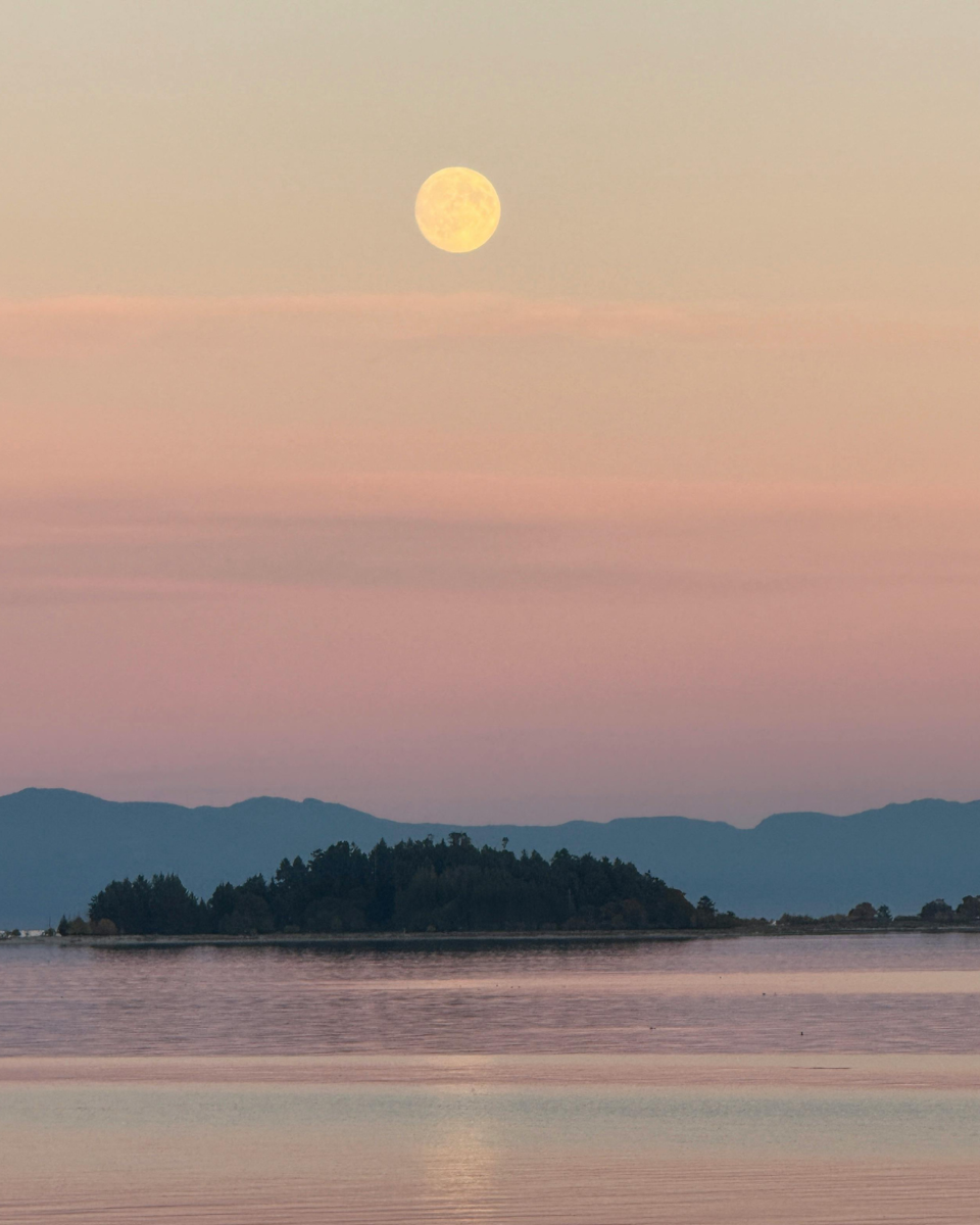 ATELIER CYCLE DE LA LUNE & ÉCRITURE INTROSPECTIVE