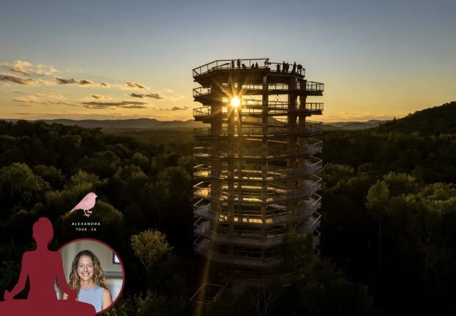 YOGA ENTRE CIEL ET TERRE / ÉDITION COUCHER DU SOLEIL
