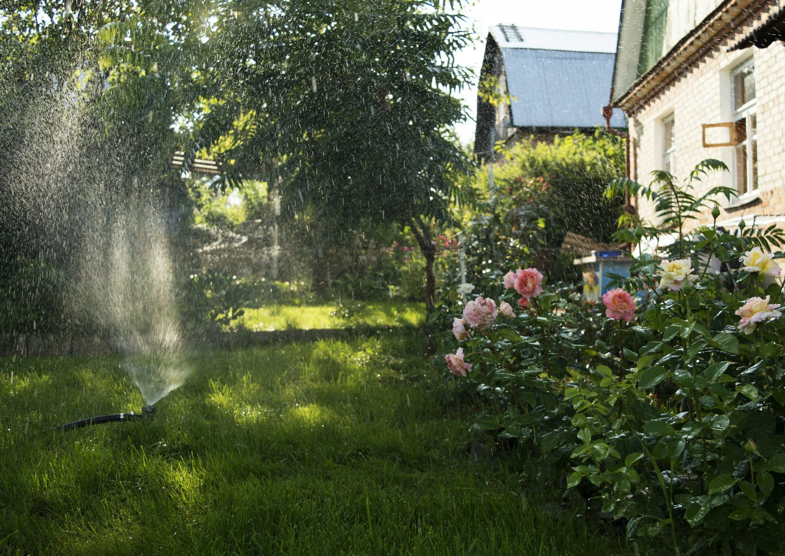 How to Maintain Your Irrigation System in Modesto’s Climate