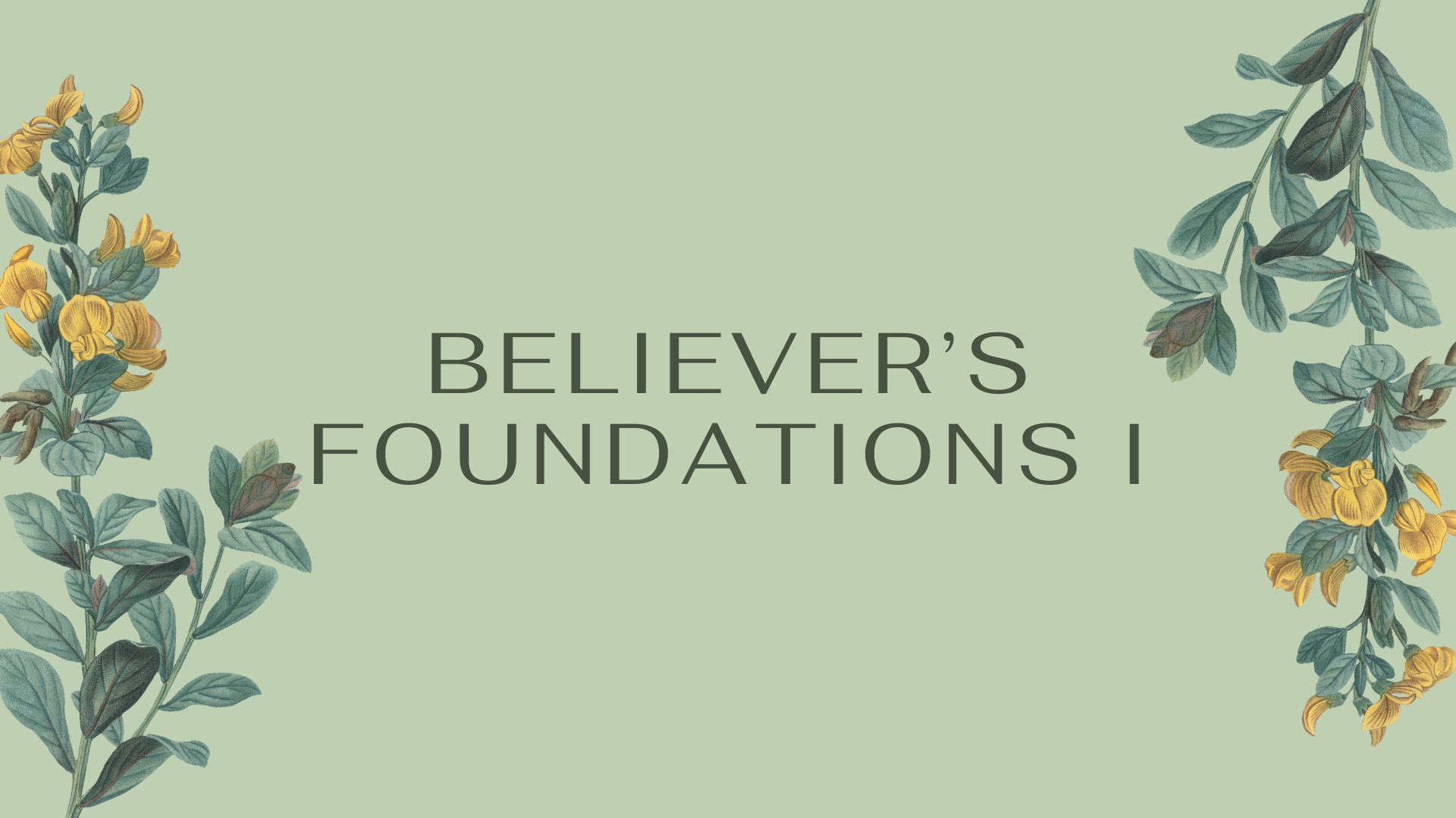 Believer's Foundations I