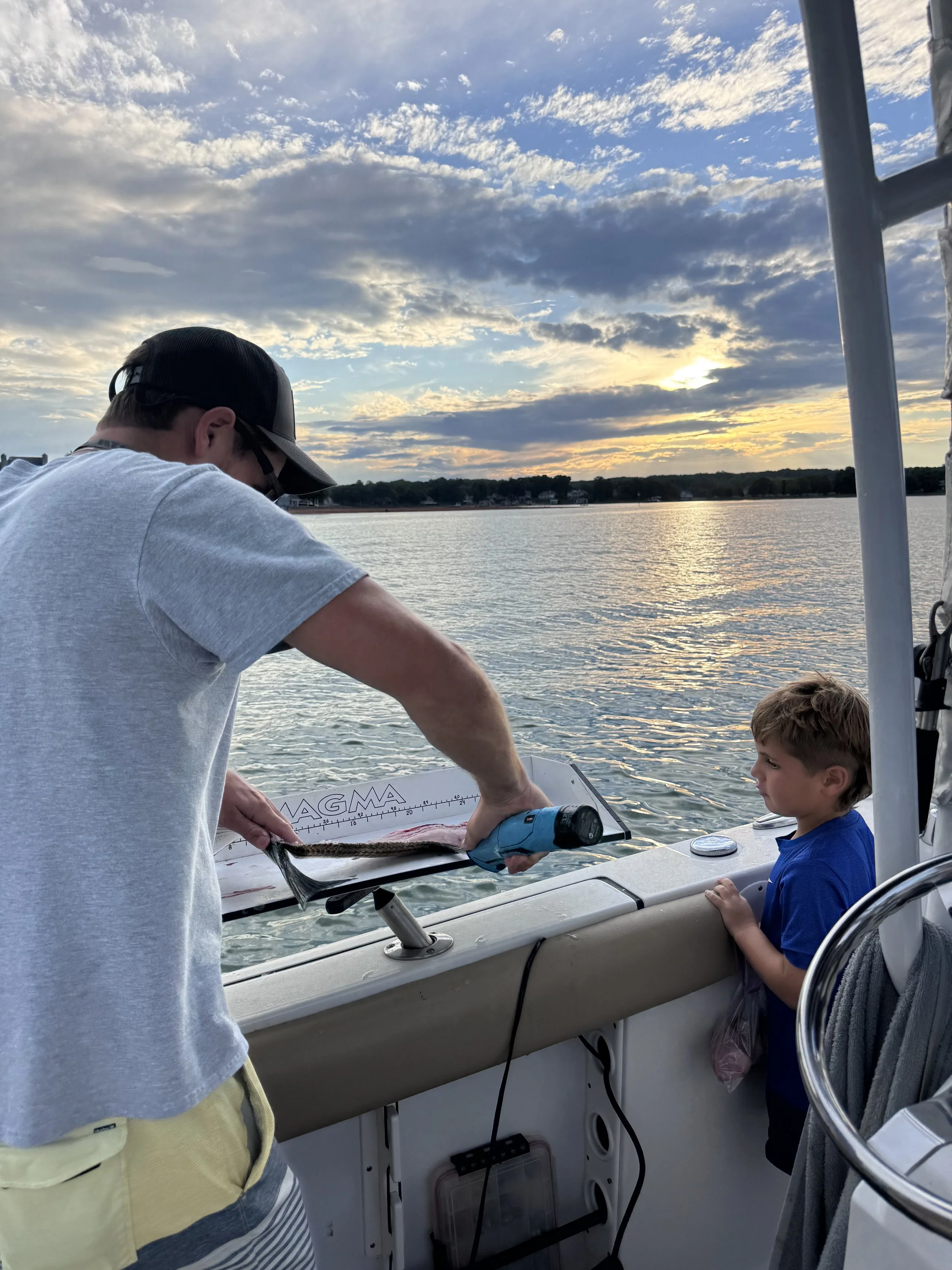 filleted fish striped bass fishing SML.jpeg