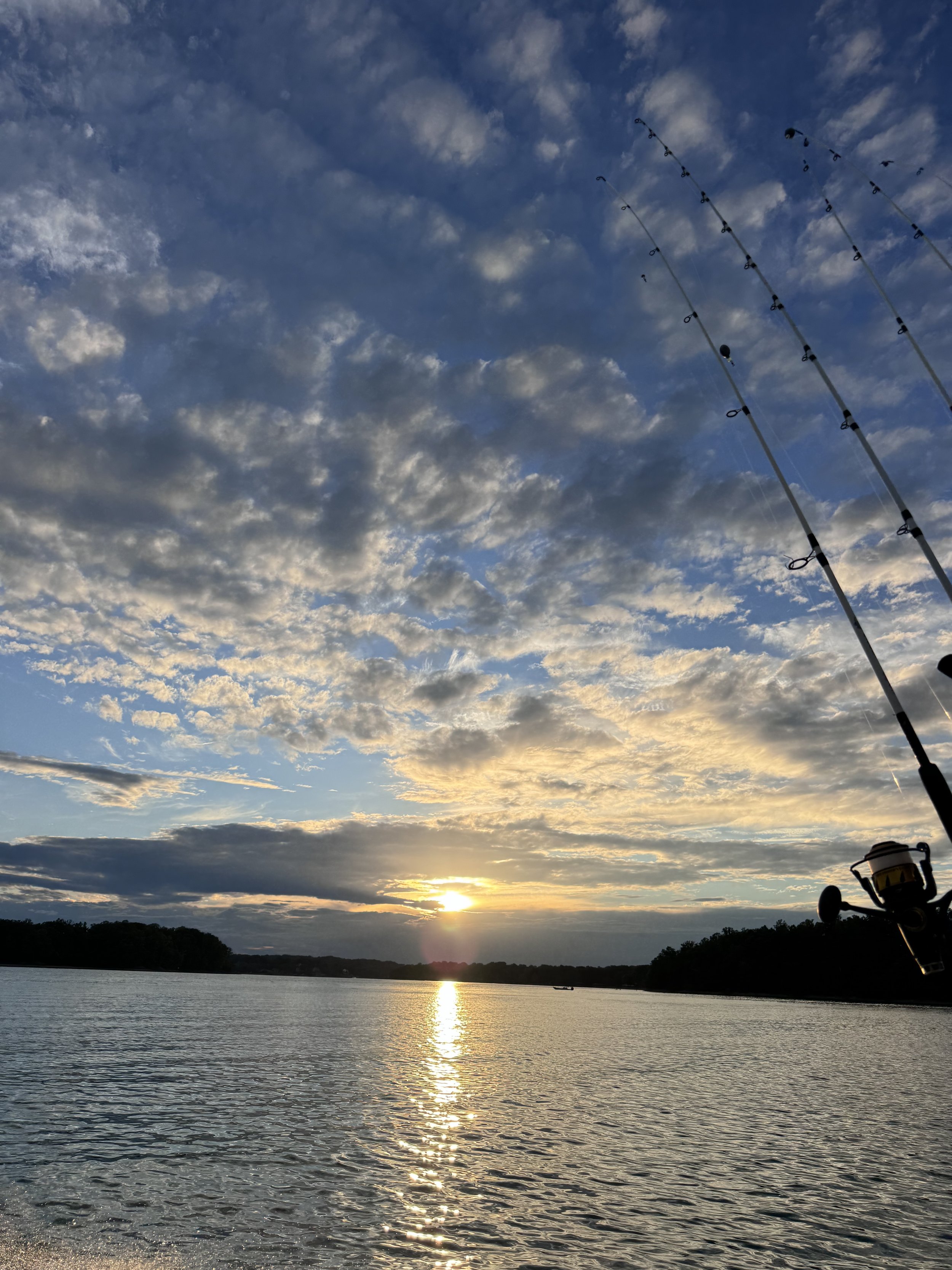 sunset bass fishing smith mountain lake.jpeg