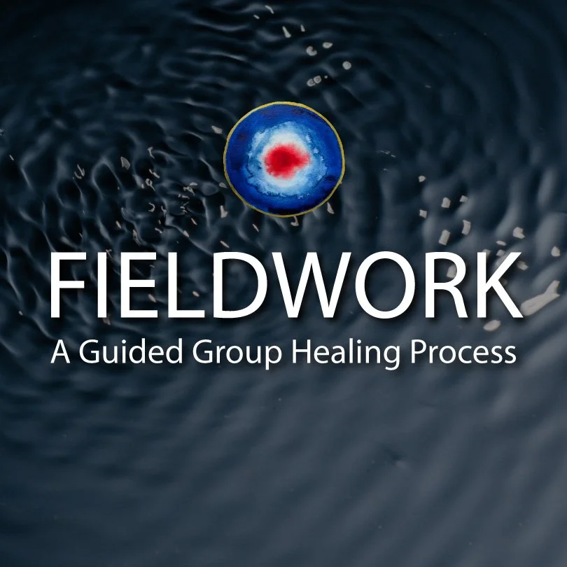 Fieldwork: A Guided Group Healing Process