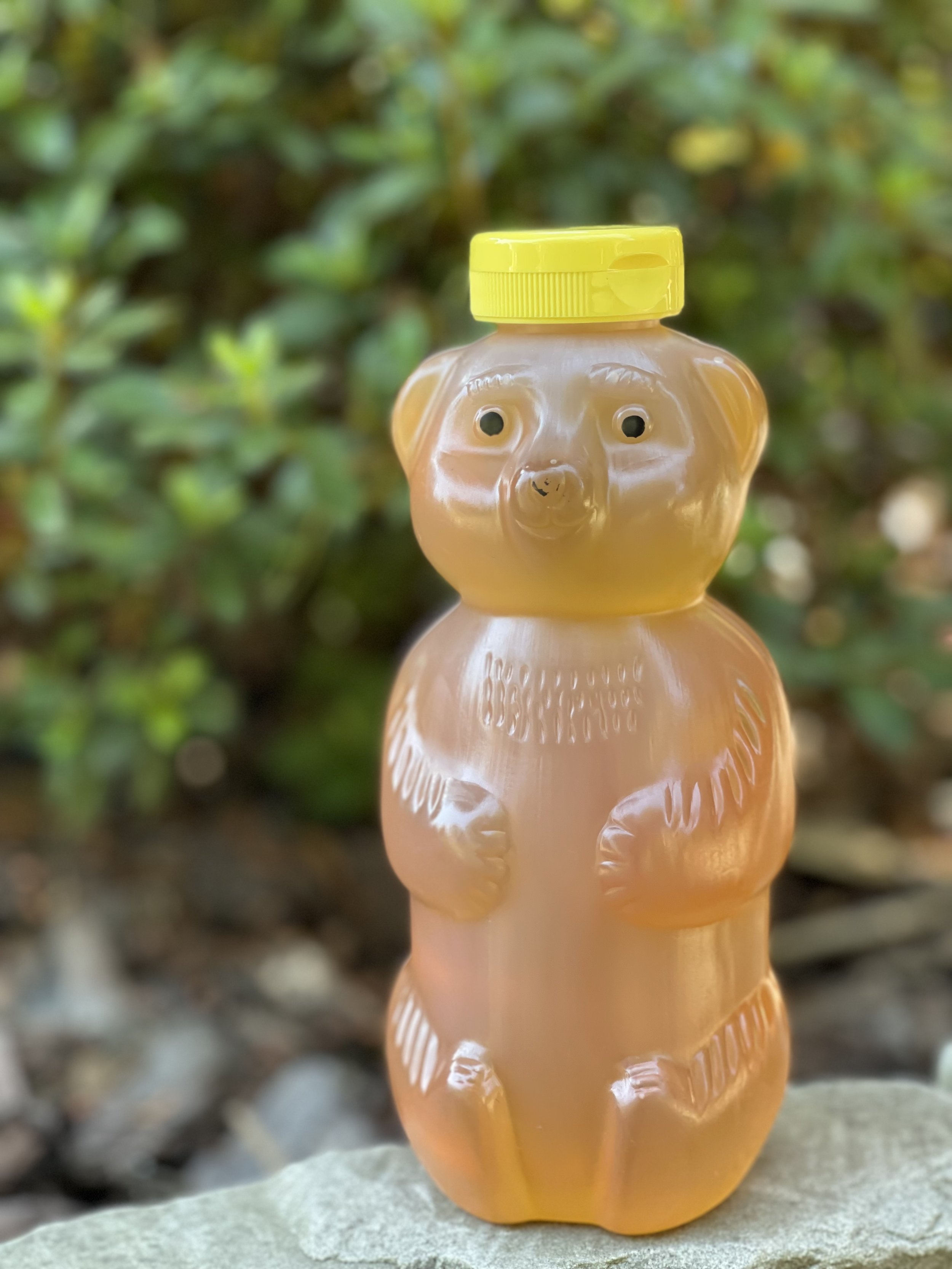 Honey Bear - 2lb