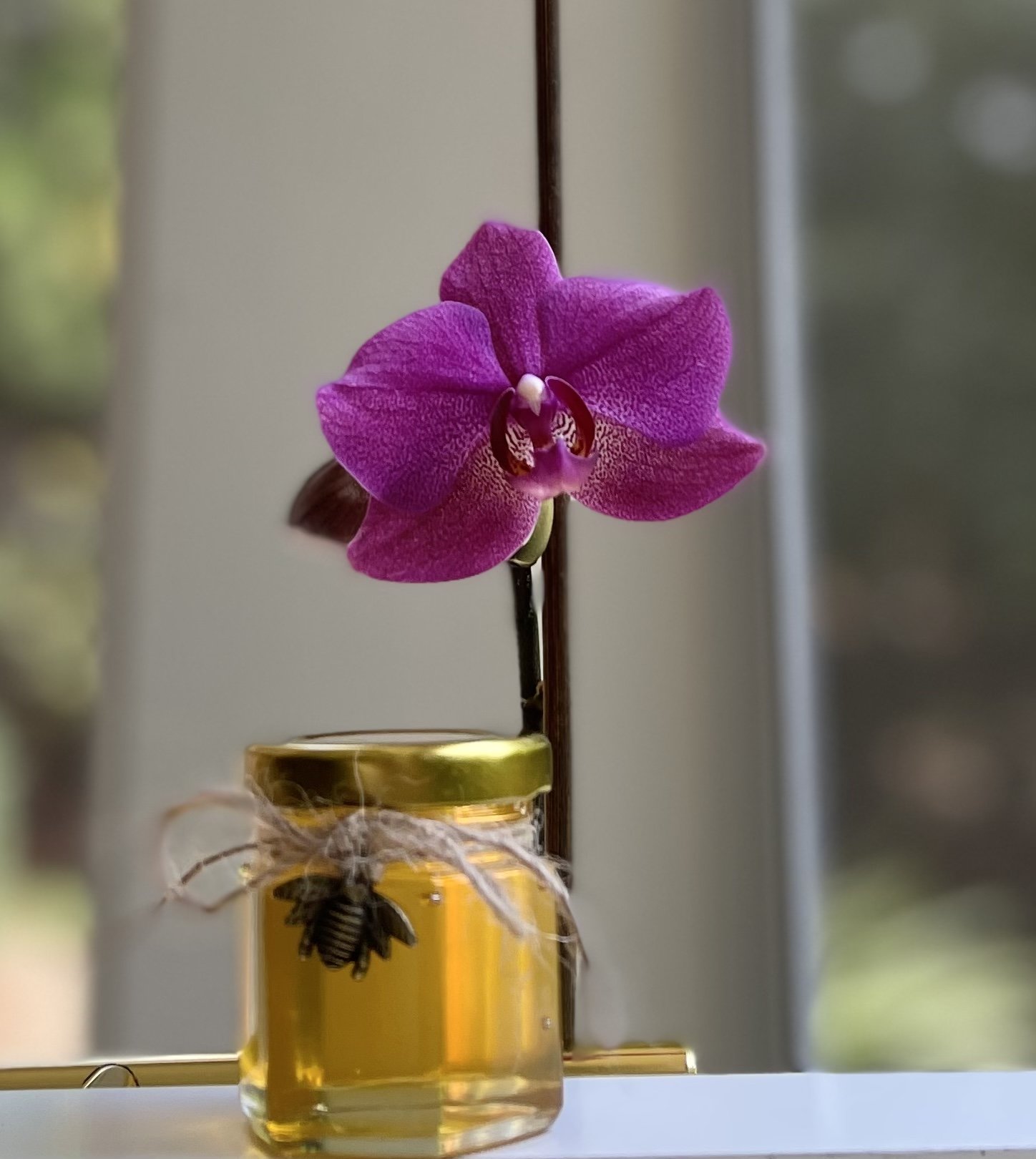 Honey Jar - 1.5 oz Hexagon