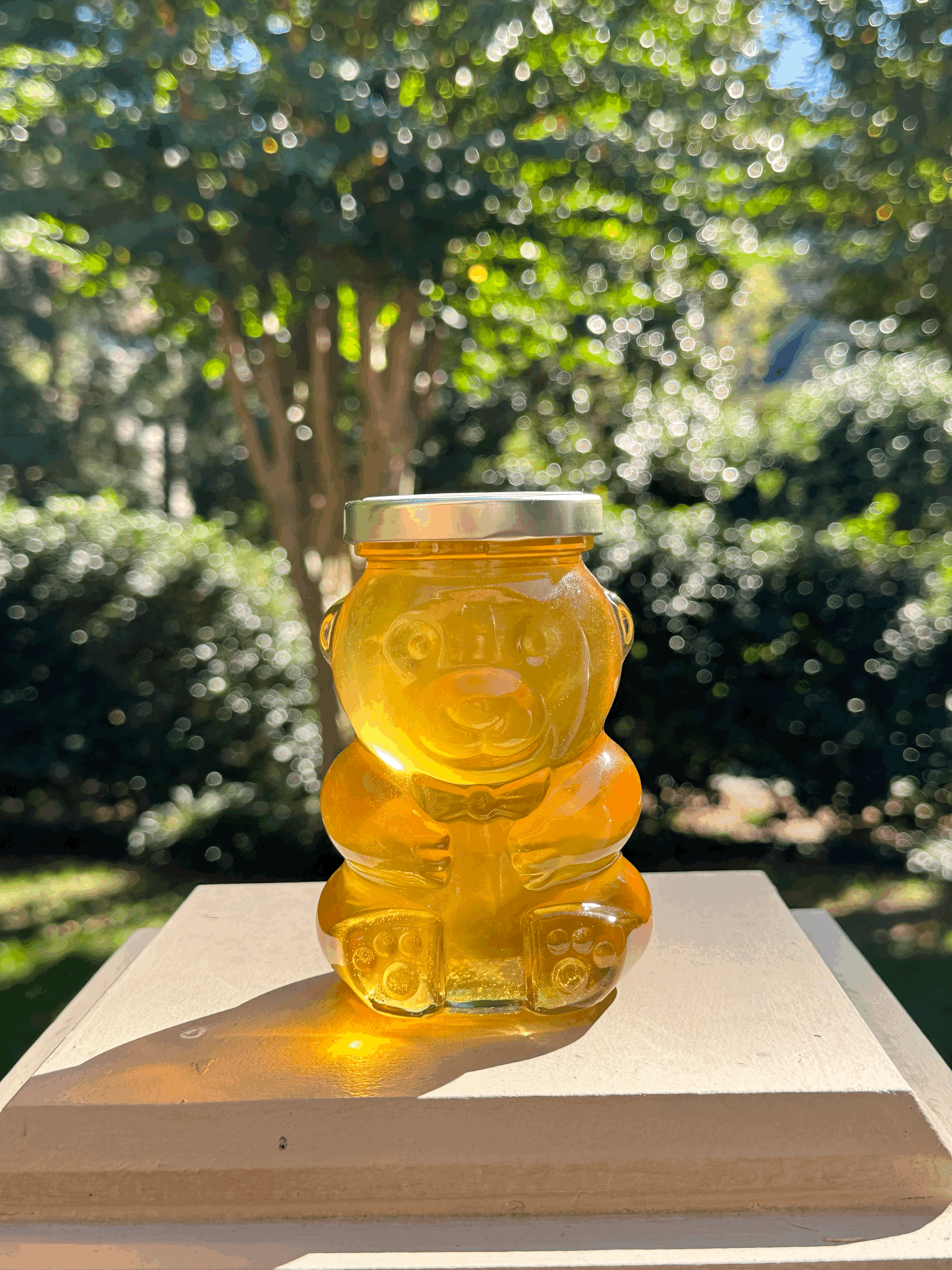 9.5 seasonal Glass Jar of Honey
