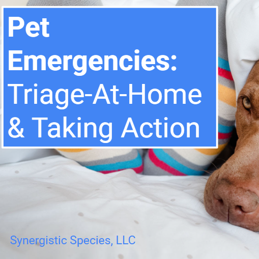Is My Pet Having An Emergency!?