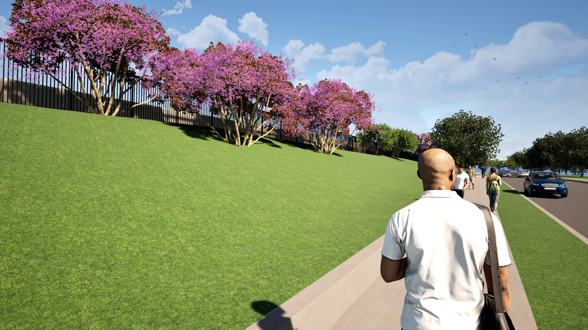 View West on Showbend Lane