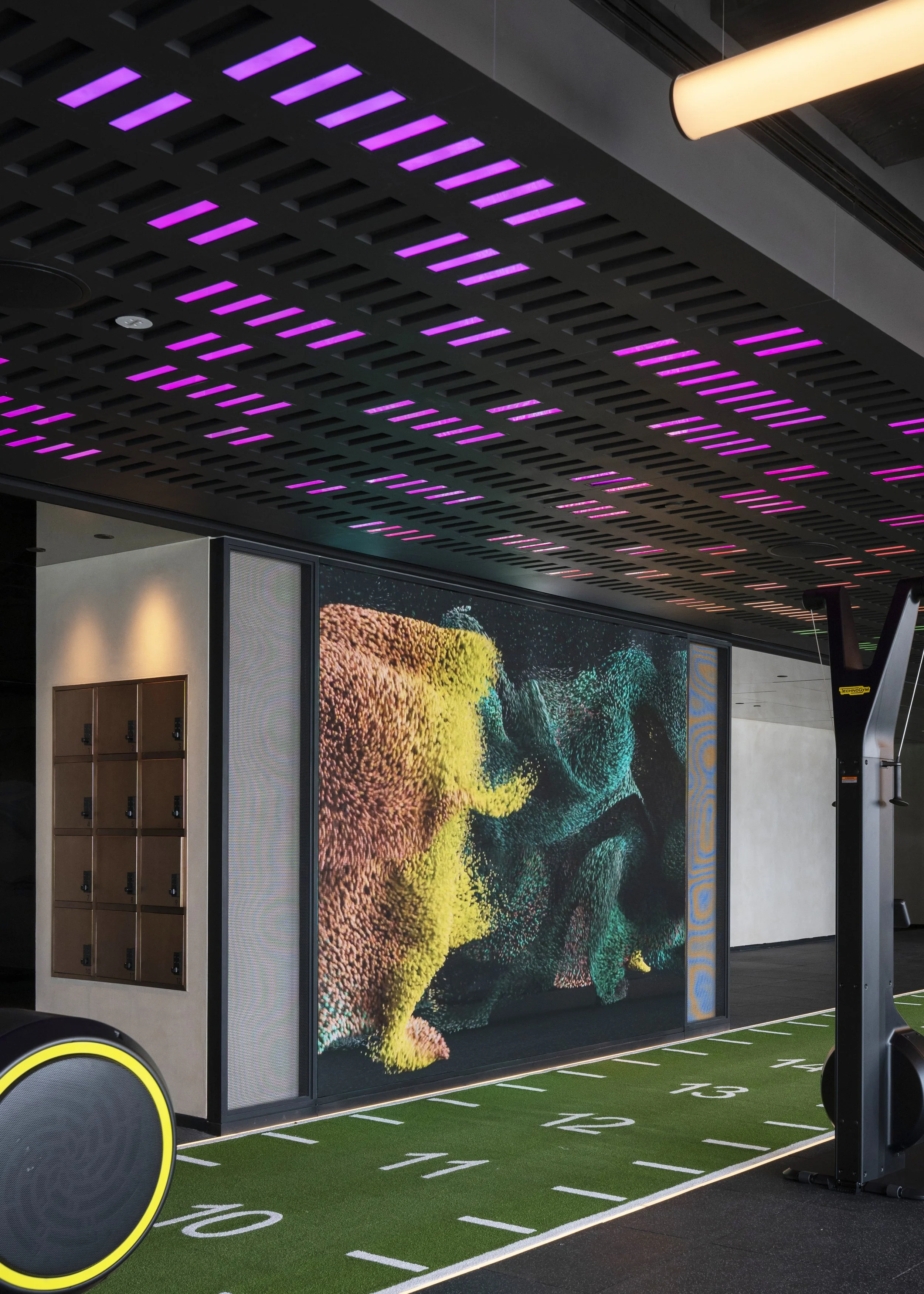 An indoor gym with a long jump measure on the floor and a screen displaying moving virtual particle effects.