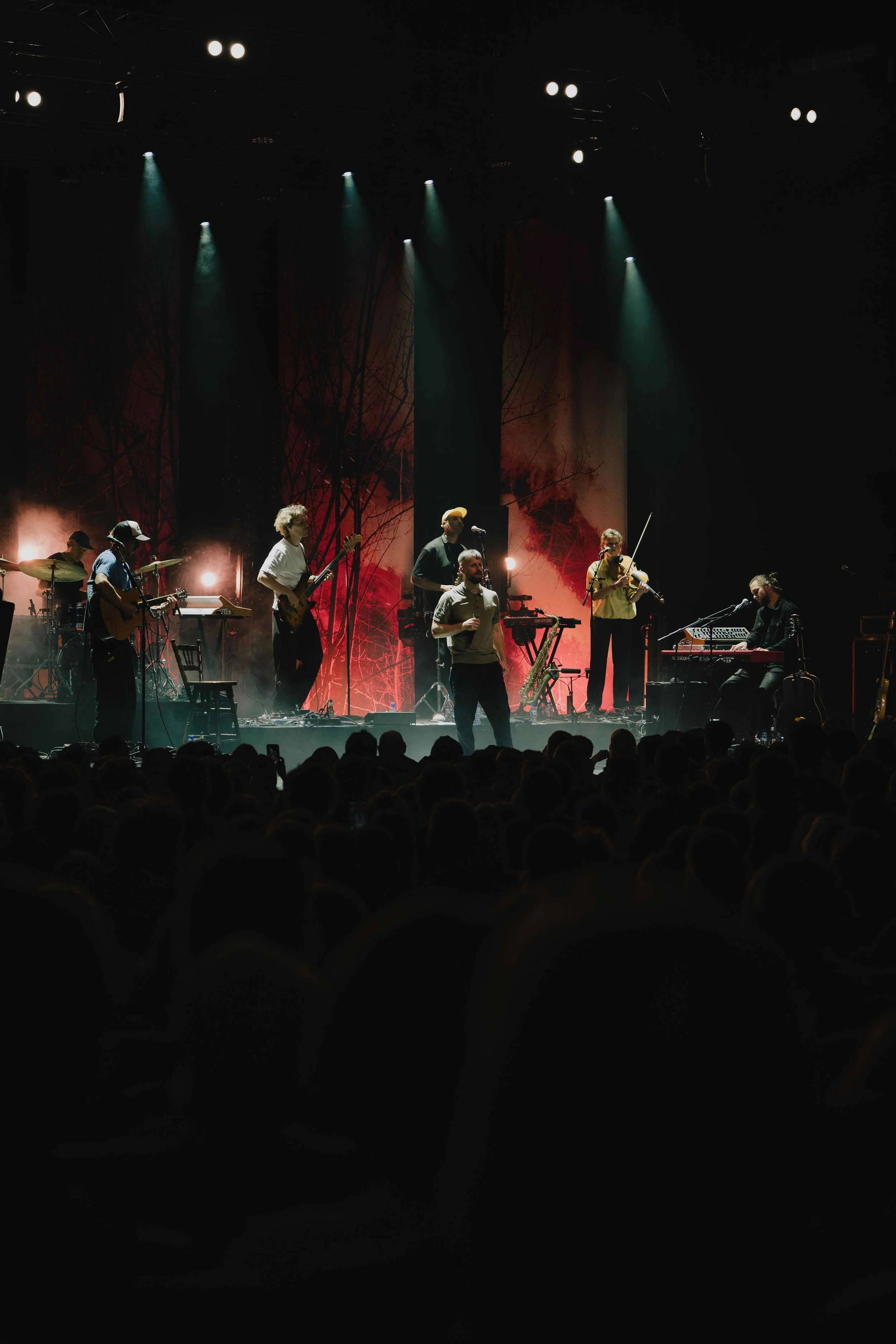 _DSC6449.jpeg