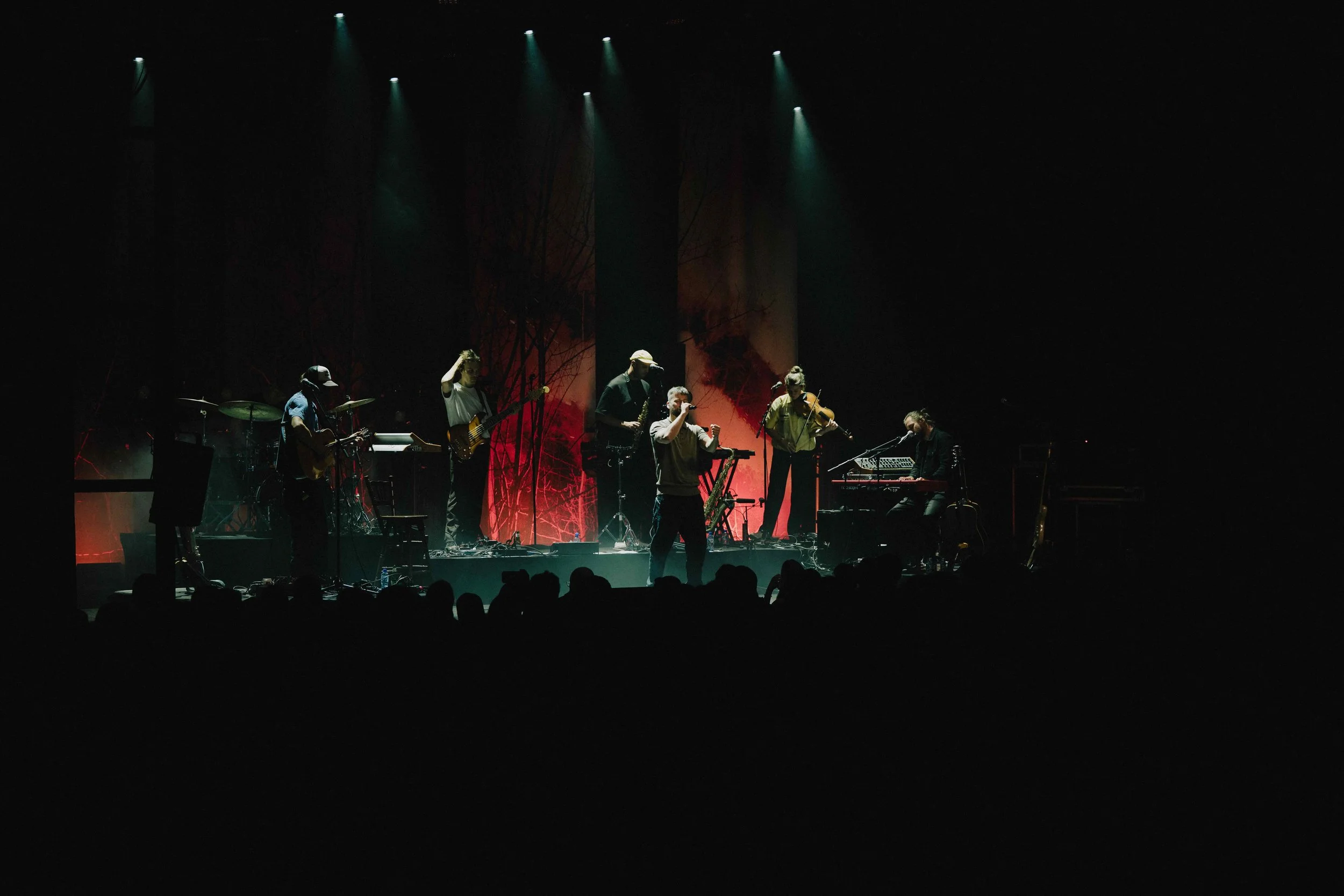 _DSC6420.jpeg