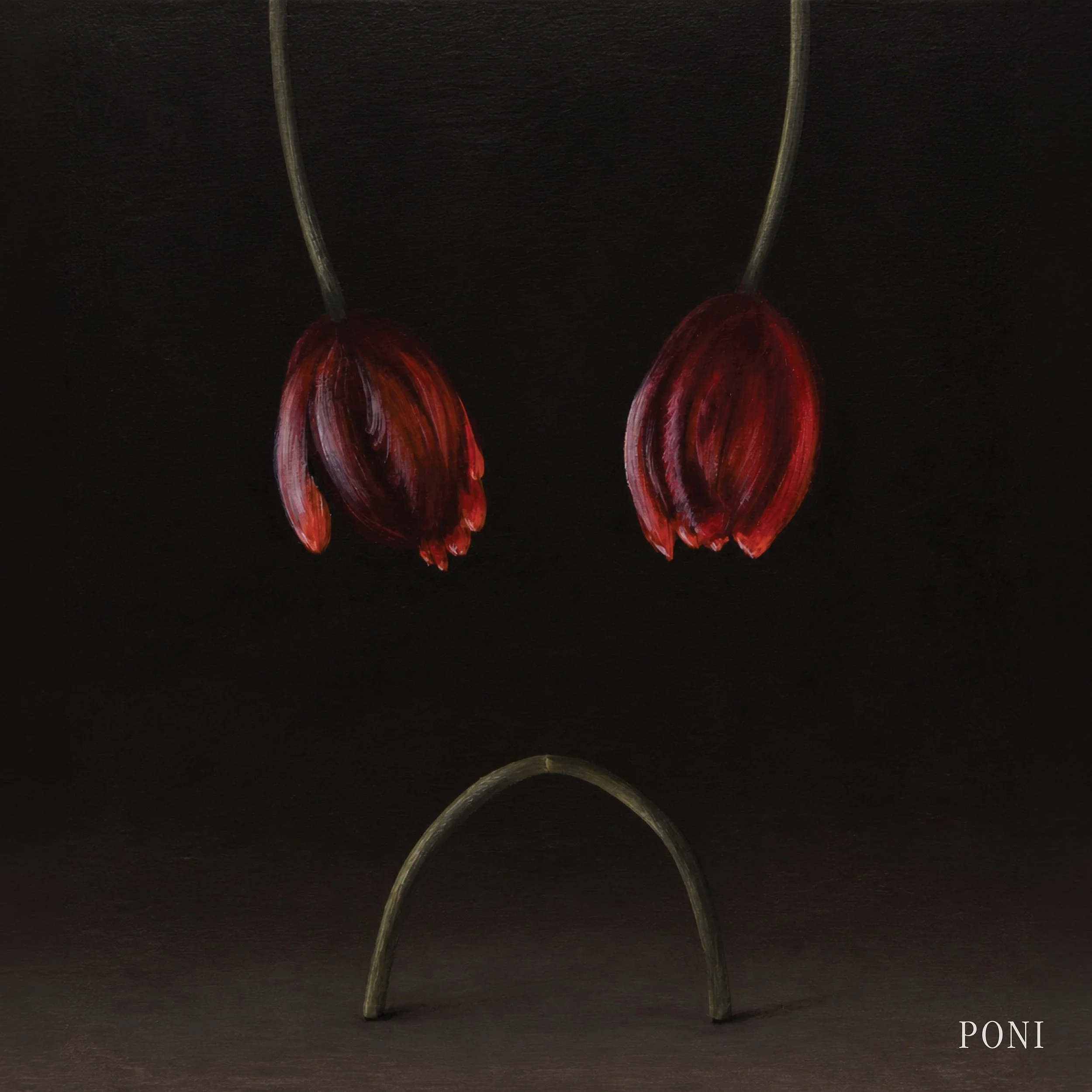 PONI - PONI