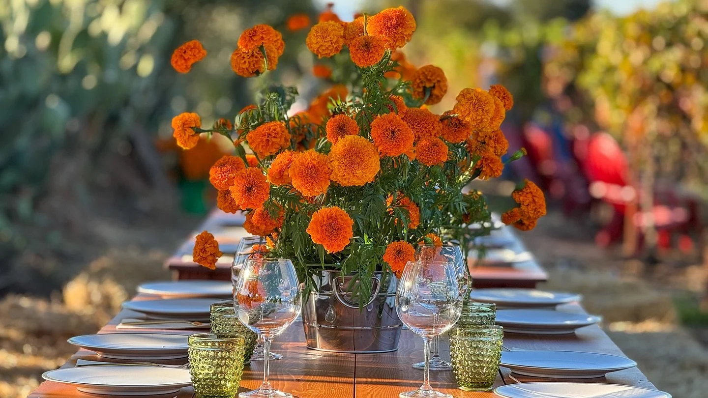 Grateful hearts, full glasses, and cherished moments. 🍷 This Thanksgiving, we reflect on the joy of gathering together and the incredible support of our community. 

From our family at LFV to yours, we wish you a day filled with love, laughter, and 