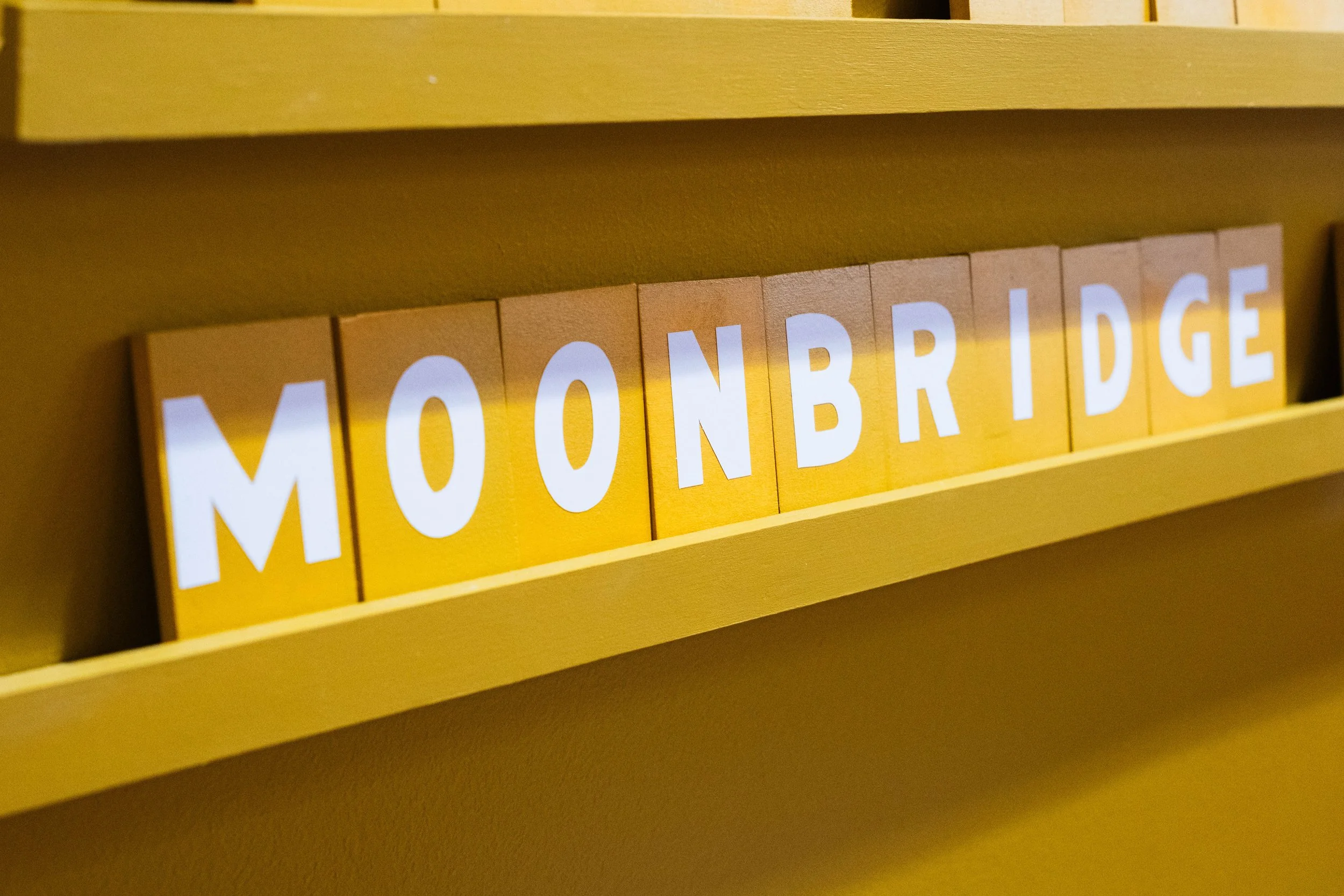 Moonbridge Openiong-71.jpg