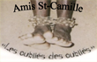 logo-Amis_At-Camille-webSize.png
