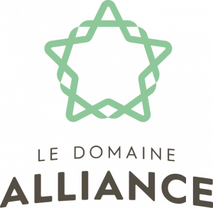 DomAlliance_Logo_Couleur-300x293.png