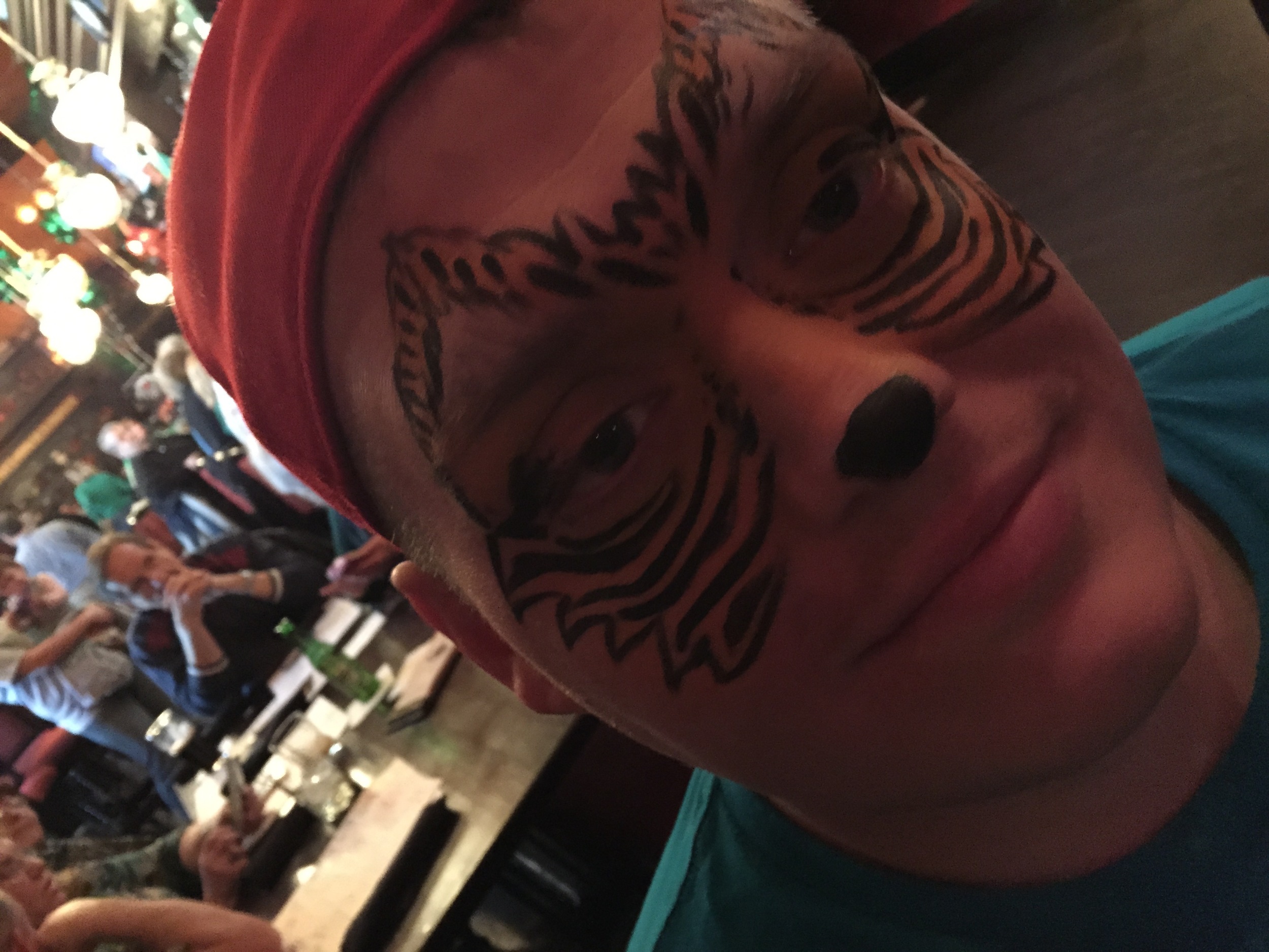 Adult Face Paint - tiger man.jpg